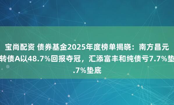 宝尚配资 债券基金2025年度榜单揭晓：南方昌元可转债A以48.7%回报夺冠，汇添富丰和纯债亏7.7%垫底